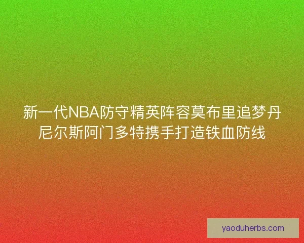 新一代NBA防守精英阵容莫布里追梦丹尼尔斯阿门多特携手打造铁血防线