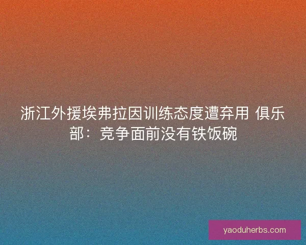 浙江外援埃弗拉因训练态度遭弃用 俱乐部：竞争面前没有铁饭碗