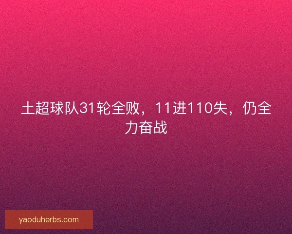 土超球队31轮全败，11进110失，仍全力奋战