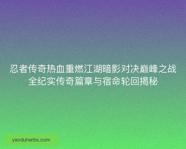 忍者传奇热血重燃江湖暗影对决巅峰之战全纪实传奇篇章与宿命轮回揭秘