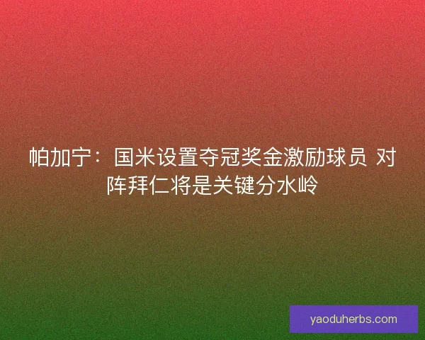 帕加宁：国米设置夺冠奖金激励球员 对阵拜仁将是关键分水岭