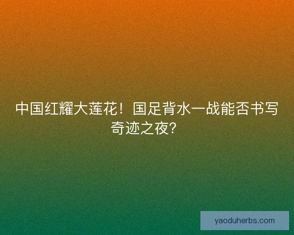中国红耀大莲花！国足背水一战能否书写奇迹之夜？