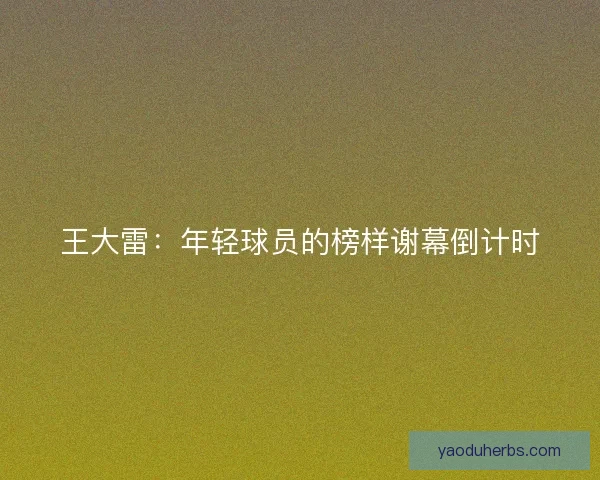 王大雷：年轻球员的榜样谢幕倒计时