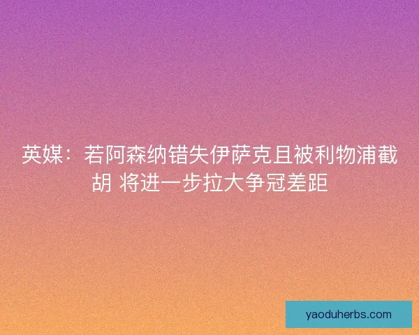 英媒：若阿森纳错失伊萨克且被利物浦截胡 将进一步拉大争冠差距