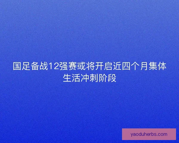 国足备战12强赛或将开启近四个月集体生活冲刺阶段